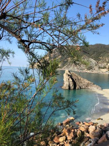  Appartamento via Roma 56 in Monterosso al Mare