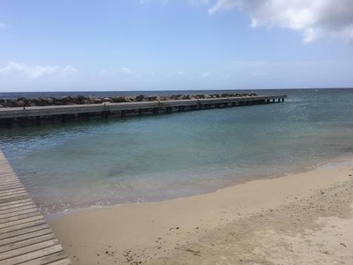 Beach, San Marco Hotel Curacao & Casino in Willemstad