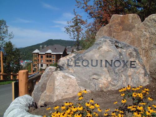 Luxurious Equinoxe Ski-in/Ski-out