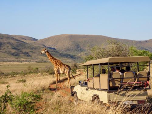 Nkomazi Game Reserve by NEWMARK