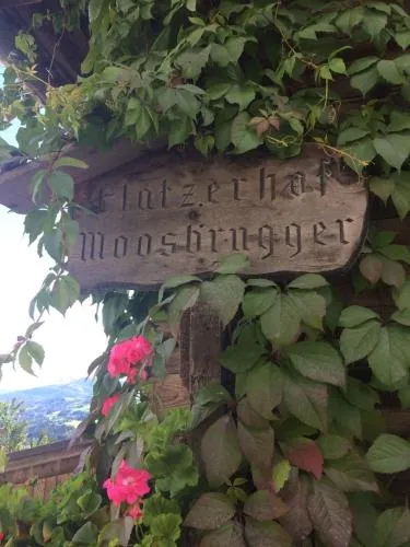 Flatzerhof in Haus im Ennstal, Österreich