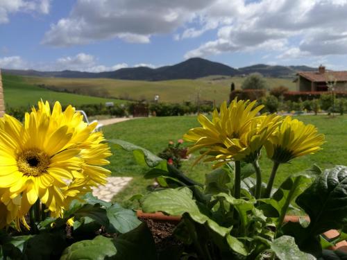  Podere San Luigi - Pet Friendly in Volterra