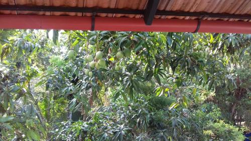 Marari Coastal Dreams Home Stay - image 5