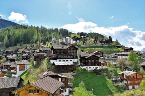 The Alpina Mountain Resort