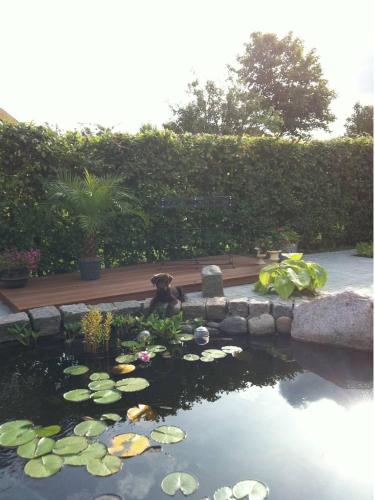 Bed & Breakfast Horsens - Udsigten - image 2