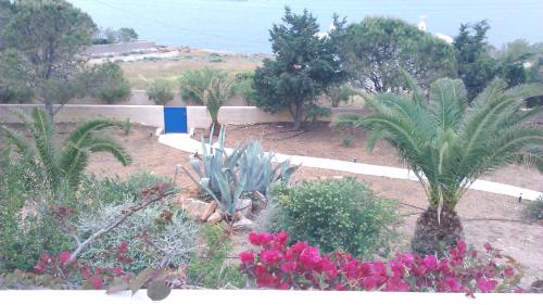 Villa Annita, with extraordinary view near the sea