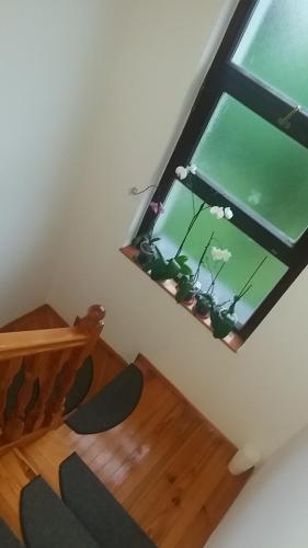 Sobe Majda in 维索科