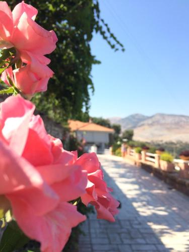 . Saranda Landscape