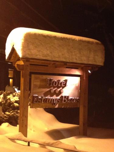 Hotel Estanys Blaus - image 3