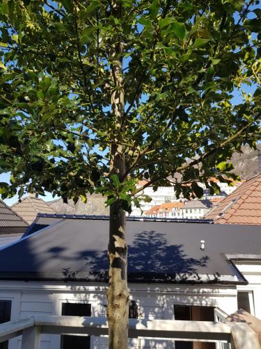 斯库特维肯40号公寓 斯库特维肯40号公寓