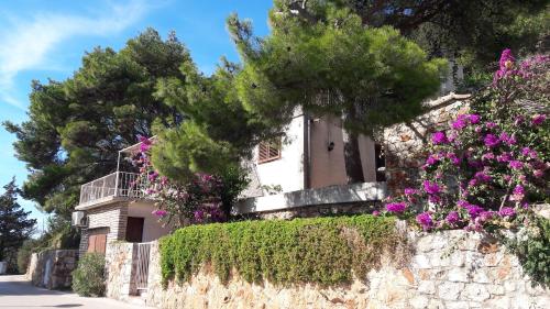 Apartment Magdalena