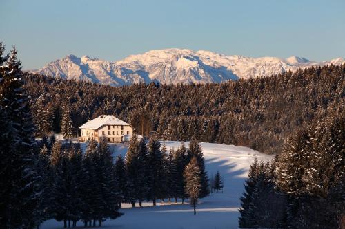 Meltar Boutique Hotel - image 11