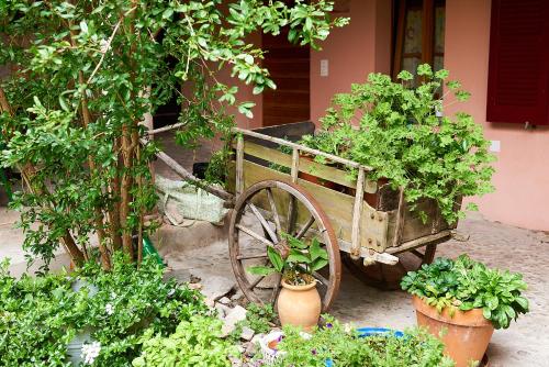 Charming B&B and Osteria La Crisalide - Accommodation - Meride