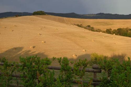  Podere San Luigi - Pet Friendly in Volterra
