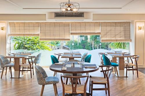 H10 Delfín - Adults Only - image 6