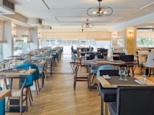 H10 Delfín - Adults Only - image 11