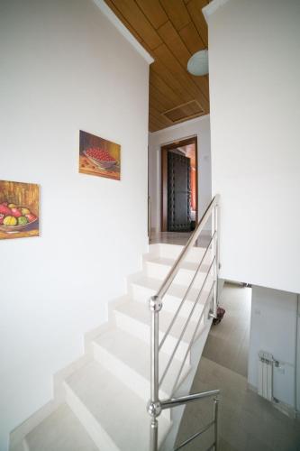 Guest House Ćiro - image 14