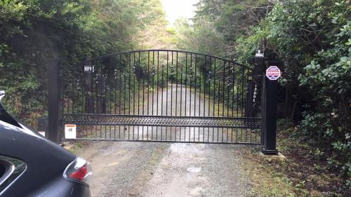 Redwood forest Redwood forest