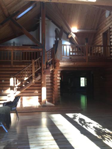 Redwood forest Redwood forest