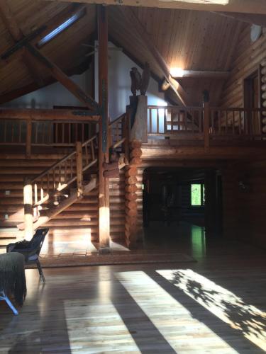 Redwood forest Redwood forest