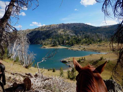 Buffalo Valley Ranch - image 10