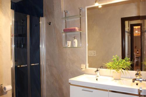 Deluxe Apartments in Porto Rotondo