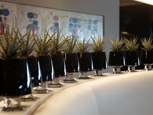 Hotel Shamrock - image 7