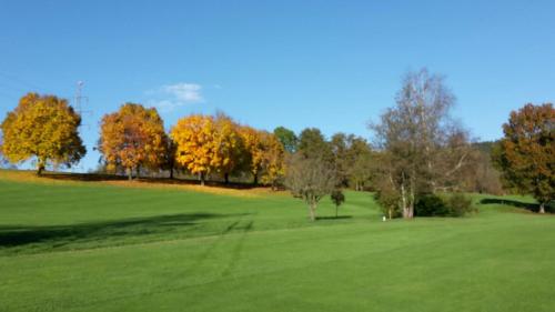 Domaine Mongiron