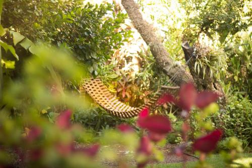 兰花公园酒店 兰花公园酒店