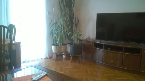 Apartments Vesna - image 7