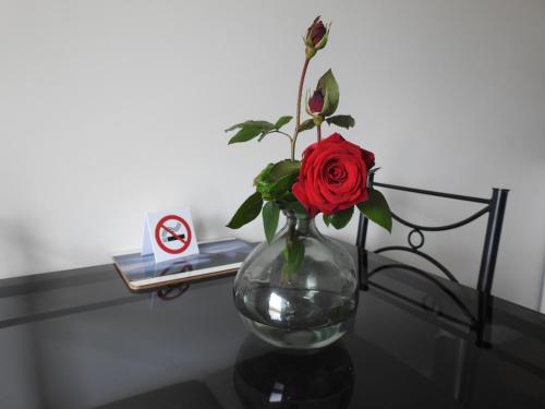 Lägenhet med 1 sovrum (3 vuxna) (One-Bedroom Apartment (3 Adults))