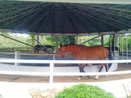 APM Equestrian Resort