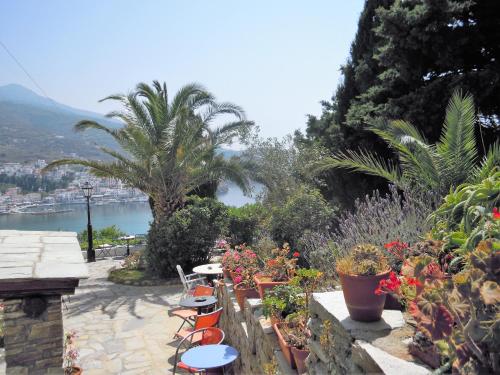 Blue Dolphin - image 13