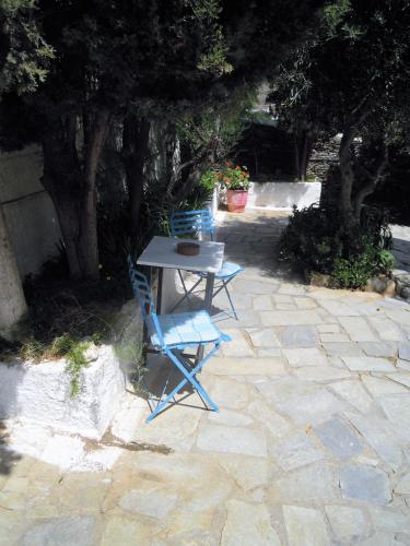 Blue Dolphin - image 14