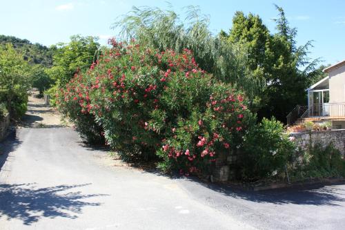 Domaine de Charoussas le mas de mon père