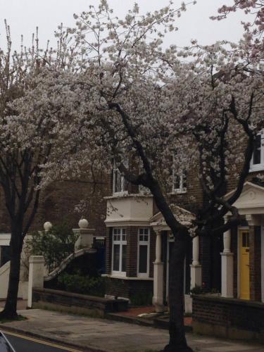 Gabe's Rooms in Central London, London (Foto 7)