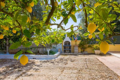 Casa Mediterranea dei Normanni - image 2