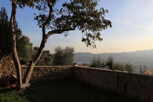 Agriturismo Villa Bissiniga - image 7