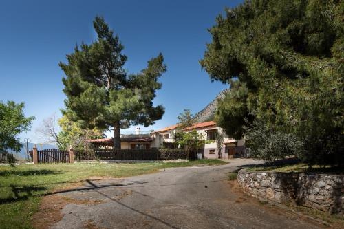 delphi villa Terracotta