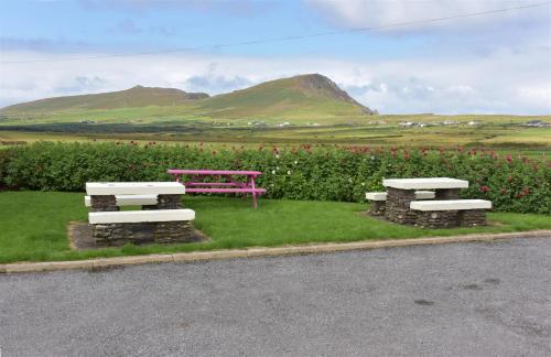 An Bothar Pub - image 12