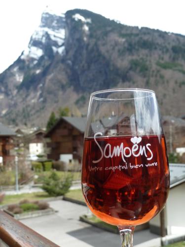 Samoëns studio - Location saisonnière - Samoëns