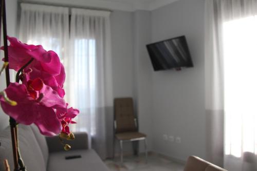 Apartamentos MaroVG - image 6