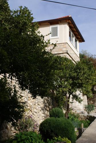  Three oranges in Trsteno