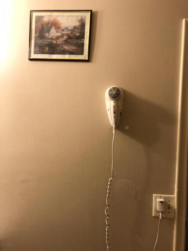 Village Inn Motel Holt – Holt, MI