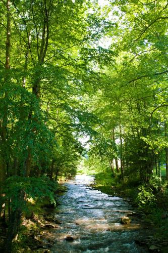 Valle Crucis Farm in Valle Crucis, USA