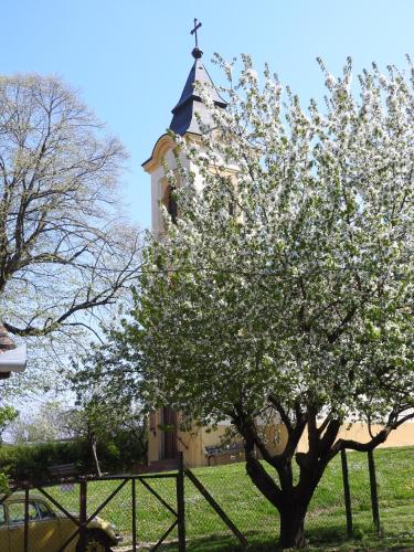  Ela`s Ferienoase Haus Ketsching in Görcsönydoboka