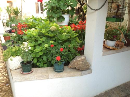 Guesthouse Kresic, Split (foto 6)