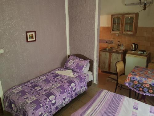 Guest House Dragomir - main image