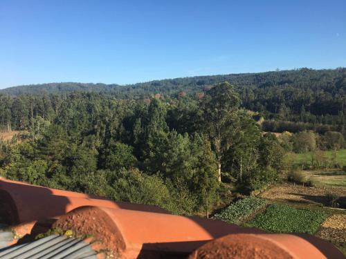  Pilgrim’s House in O Pedrouzo