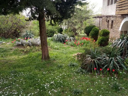 Hotel Elena - image 7